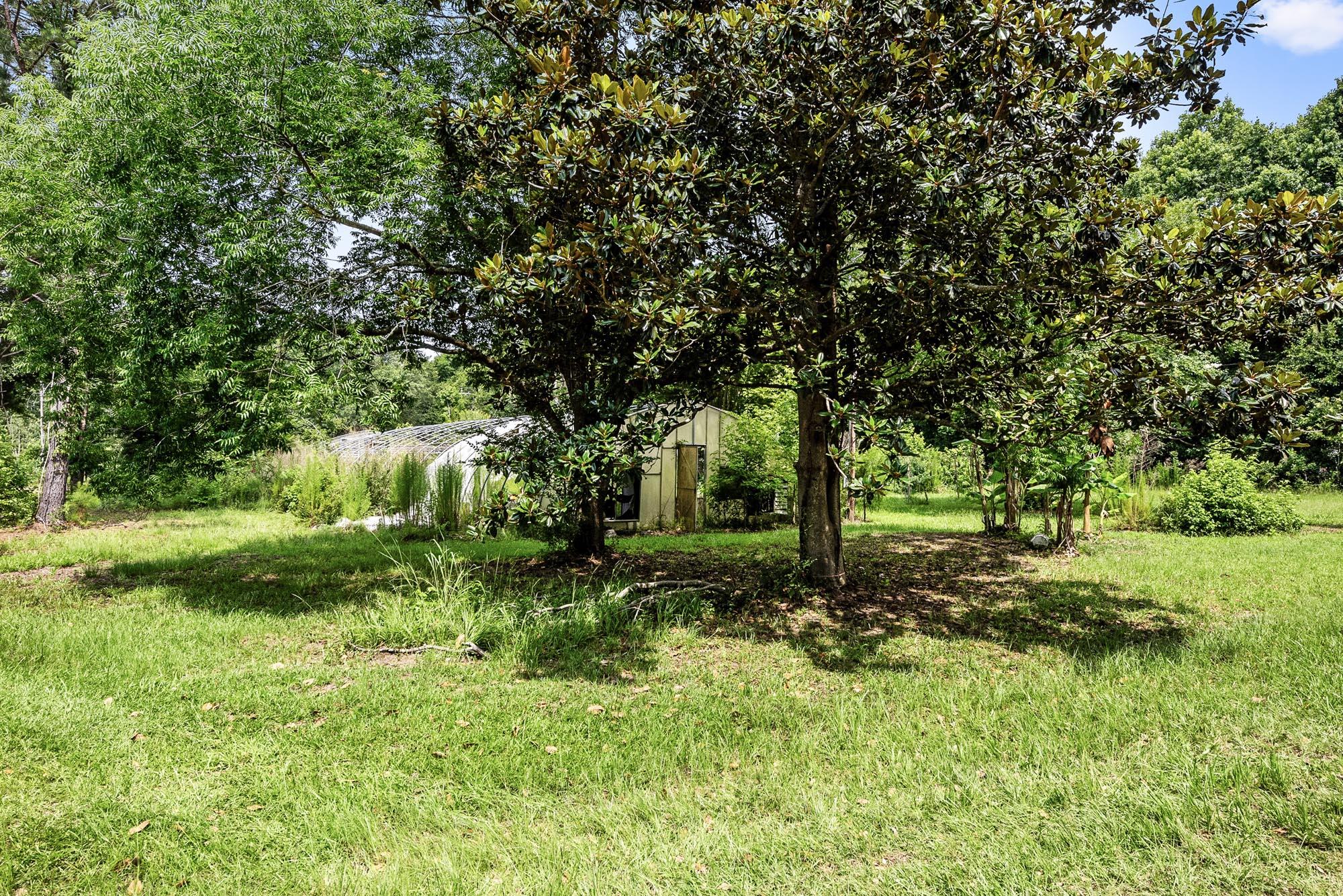 4311 River Road Johns Island, SC 29455 - Photo 14 of 28 DSC_3560