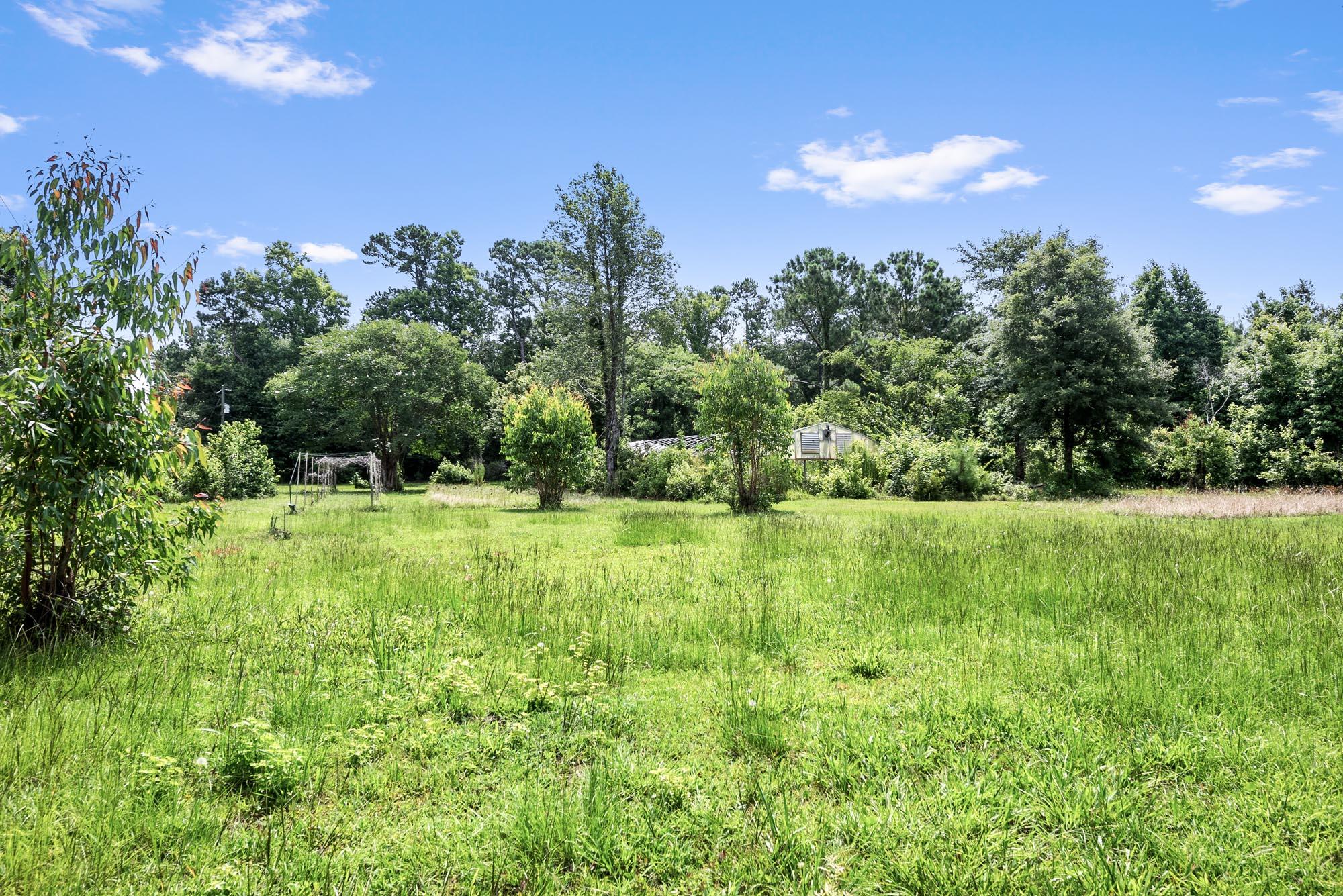 4311 River Road Johns Island, SC 29455 - Photo 23 of 28 DSC_3614