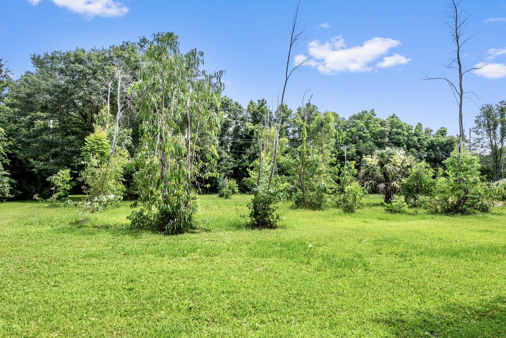 4311 River Road Johns Island, SC 29455 - Photo 24 of 28 DSC_3619
