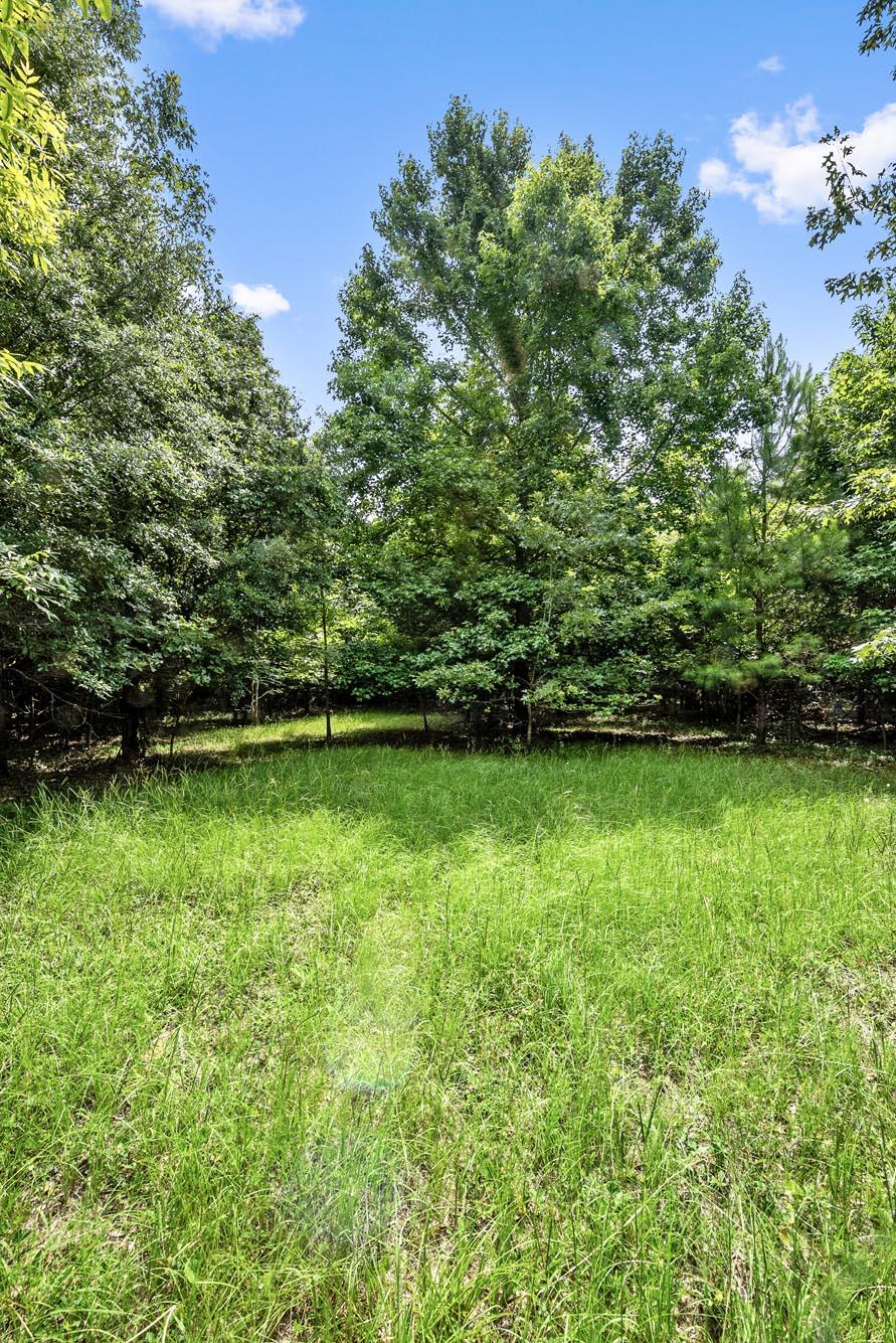 4311 River Road Johns Island, SC 29455 - Photo 25 of 28 DSC_3624