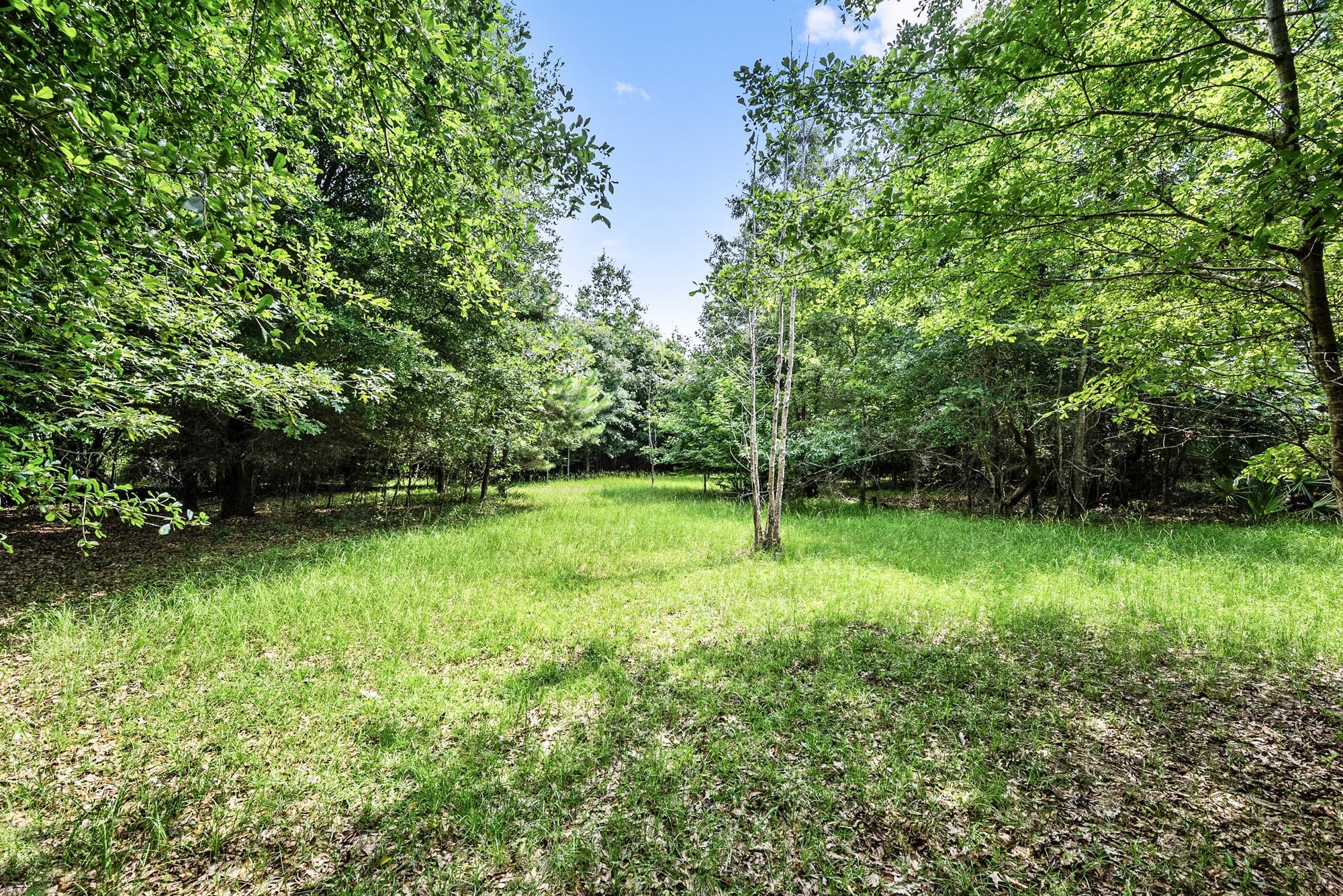 4311 River Road Johns Island, SC 29455 - Photo 26 of 28 DSC_3629