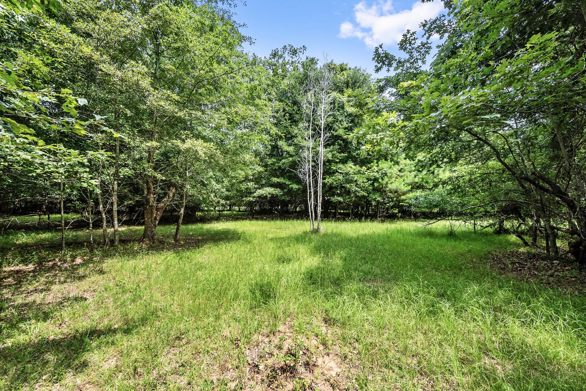 4311 River Road Johns Island, SC 29455 - Photo 27 of 28 DSC_3634