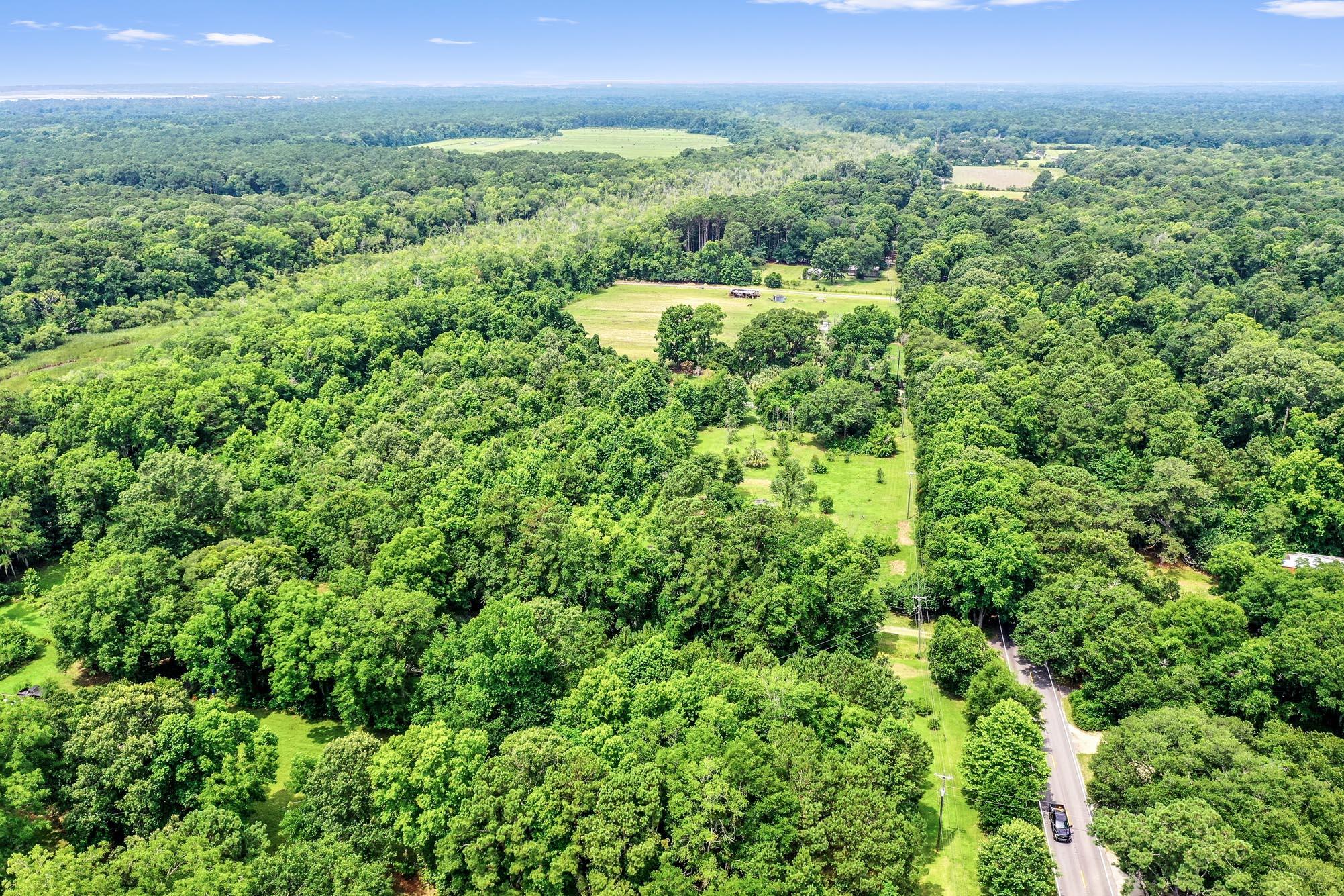 4311 River Road Johns Island, SC 29455 - Photo 5 of 28 DJI_0754