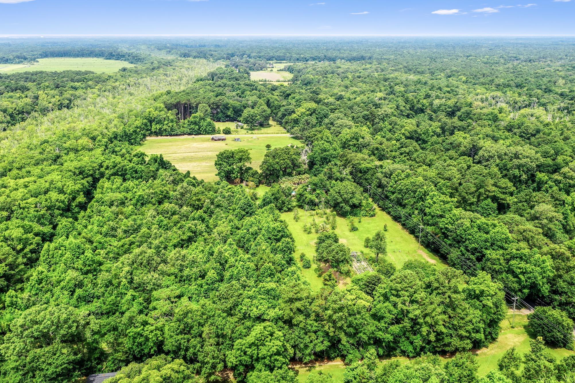 4311 River Road Johns Island, SC 29455 - Photo 6 of 28 DJI_0755