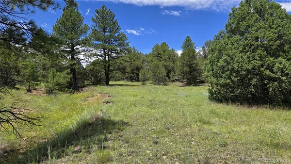 a view of a green field with lots of bushes