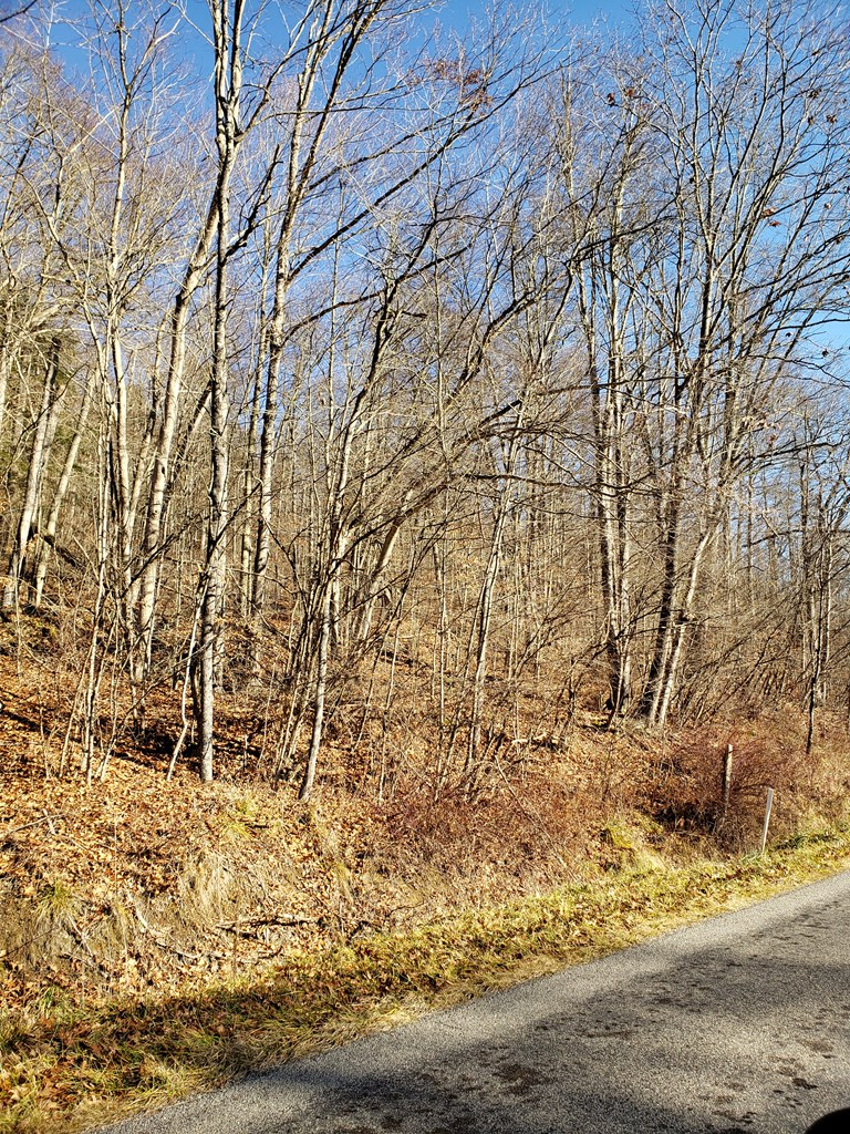 0 Rte 666 Sheffield Pa Sheffield, PA 16347 - Photo 2 of 6