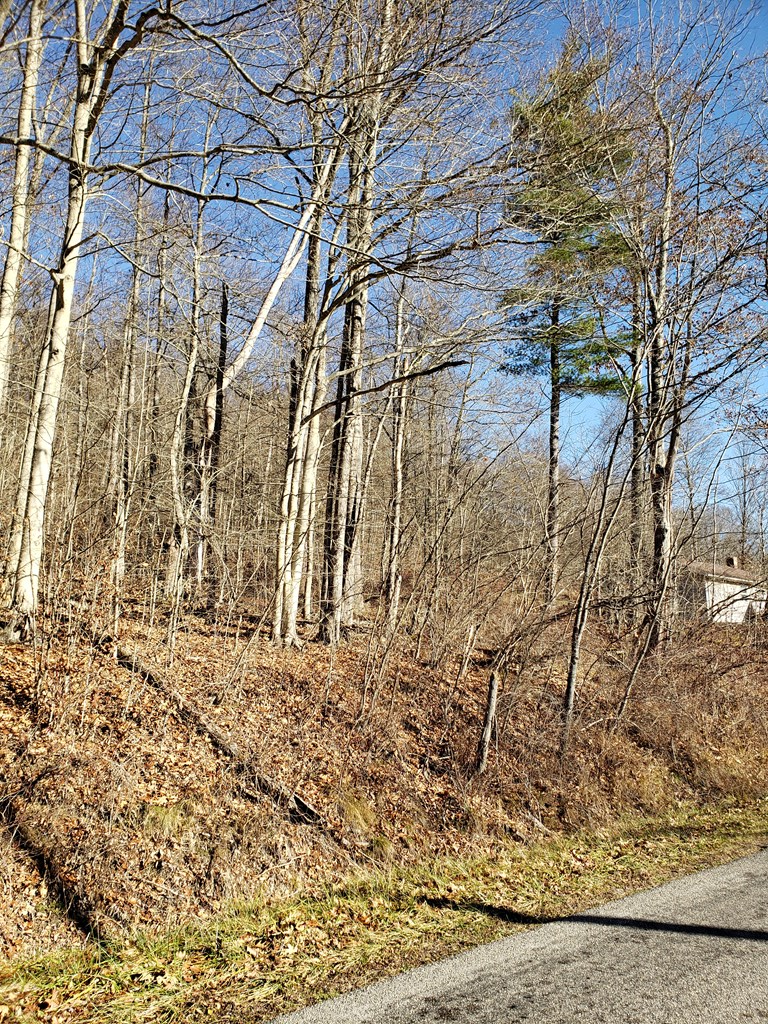 0 Rte 666 Sheffield Pa Sheffield, PA 16347 - Photo 5 of 6