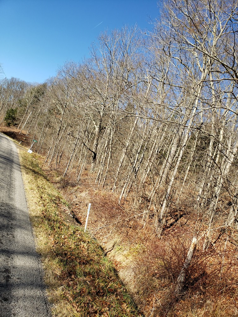 0 Rte 666 Sheffield Pa Sheffield, PA 16347 - Photo 6 of 6