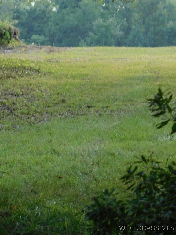 0 Lucy Road Andalusia, AL 36421 - Photo 11 of 12 Gallery Image 11