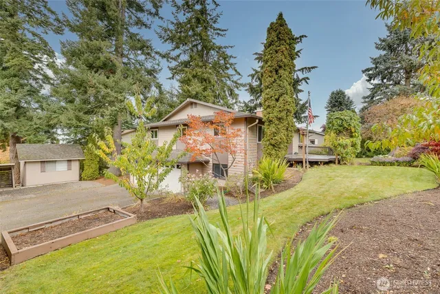 a view of a yard with plants