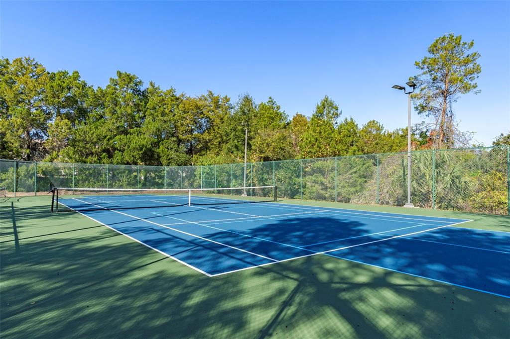 7268 Crystal Spring Run Weeki Wachee, FL 34607 - Photo 92 of 100