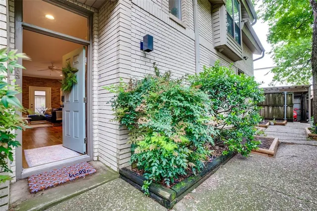 a view of a backyard with potted plants