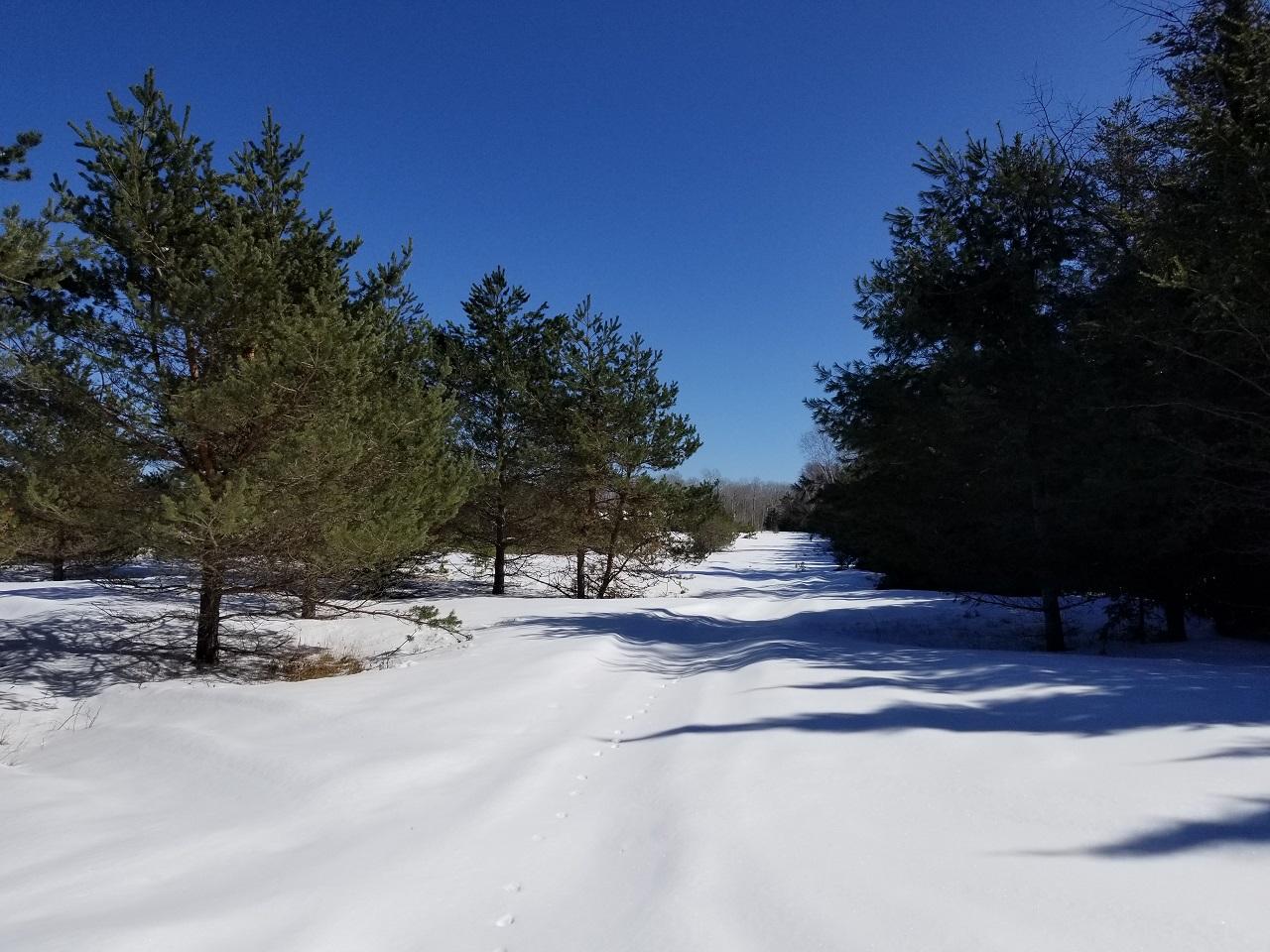 Lot 11 Northern Trs Road Mercer, WI 54547 - Photo 12 of 14 Gallery Image 12