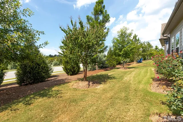 a view of yard with tree in the background