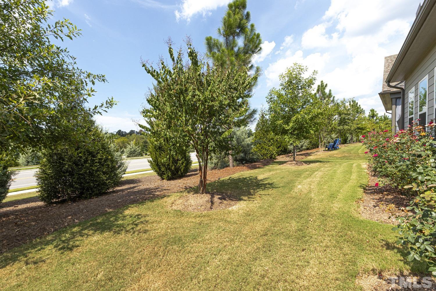 733 Midori Circle Cary, NC 27519 - Photo 35 of 41 a view of yard with tree in the background