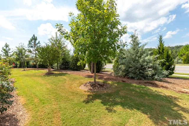 a swimming pool view