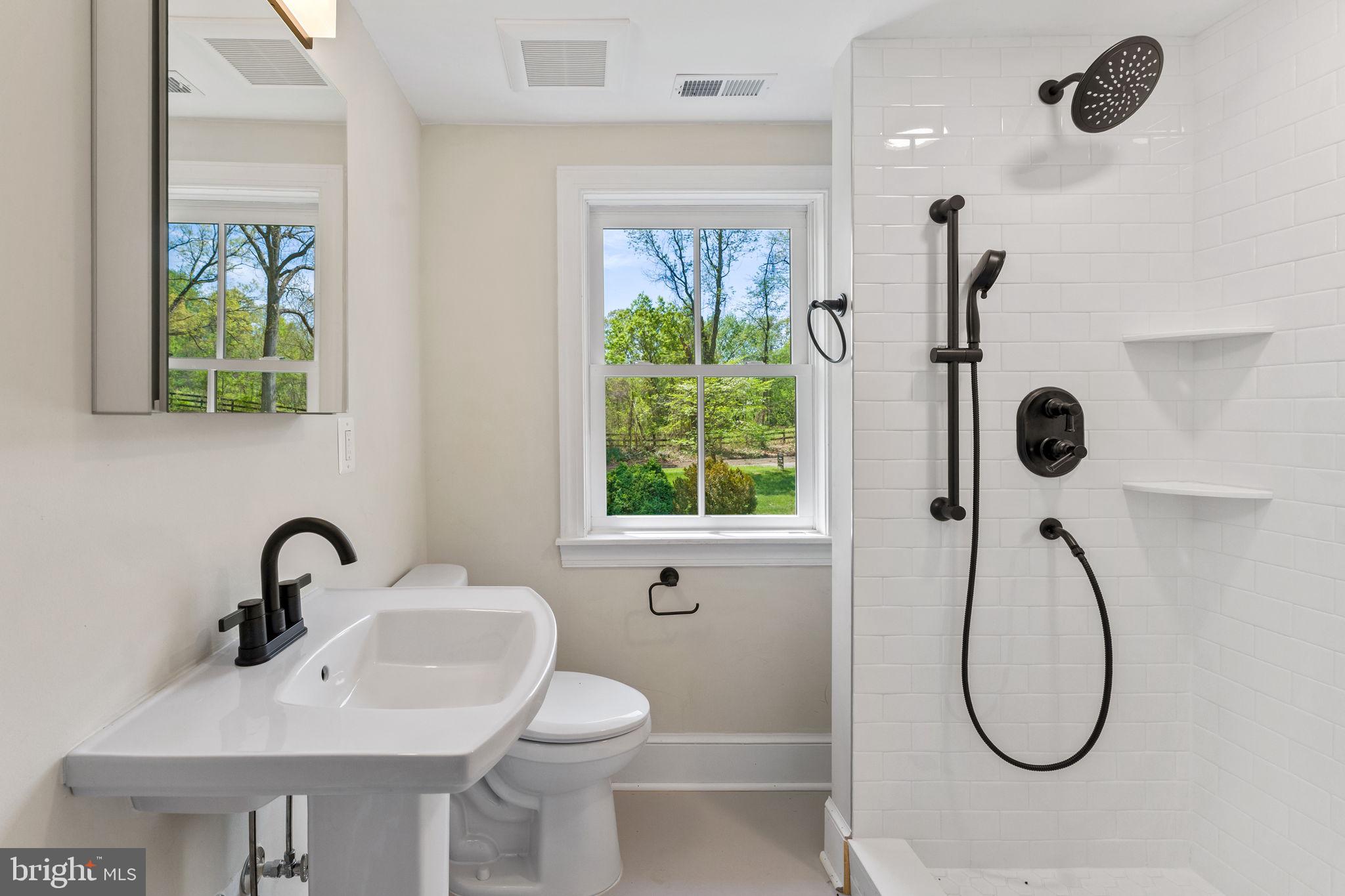 11066 Moreland Road Delaplane, VA 20144 - Photo 57 of 87 a bathroom with a sink a toilet and a window