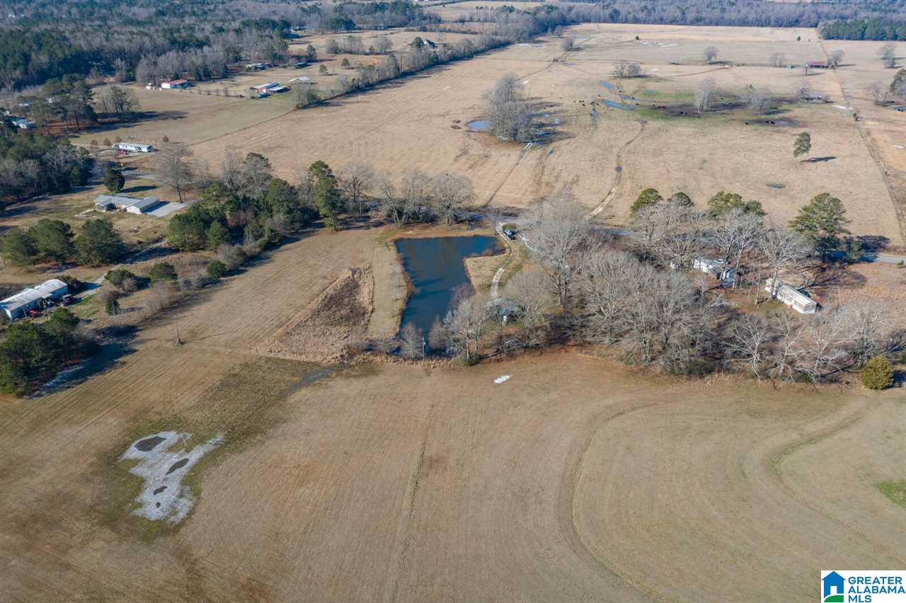 11218 Vance Blocton Road Vance, AL 35490 - Photo 28 of 37