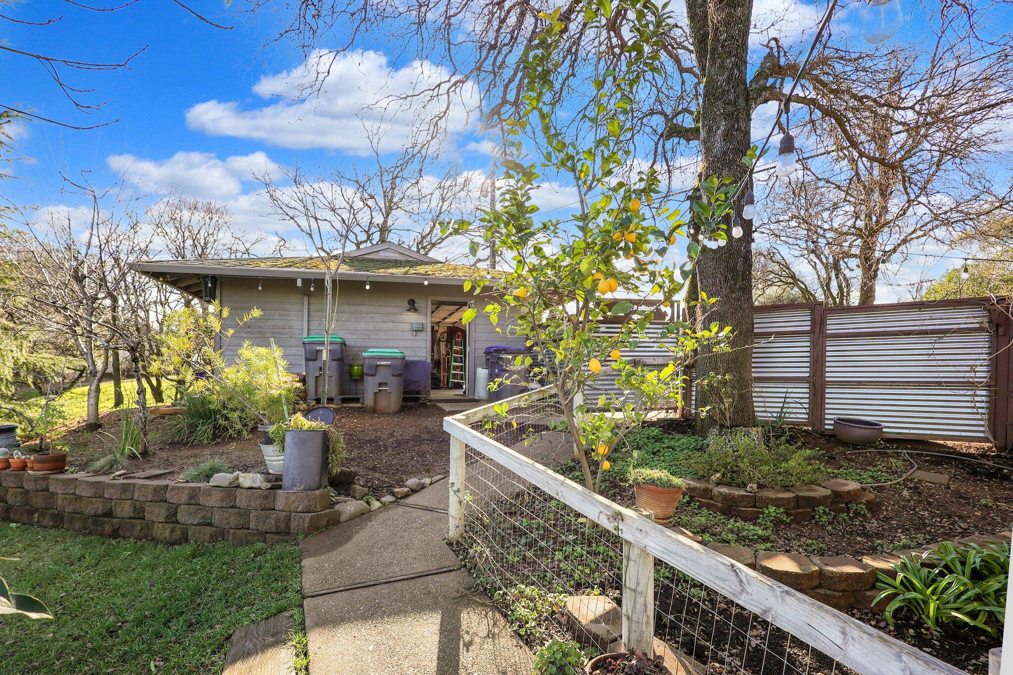 21560 Wilcox Road Red Bluff, CA 96080 - Photo 19 of 25 Backyard