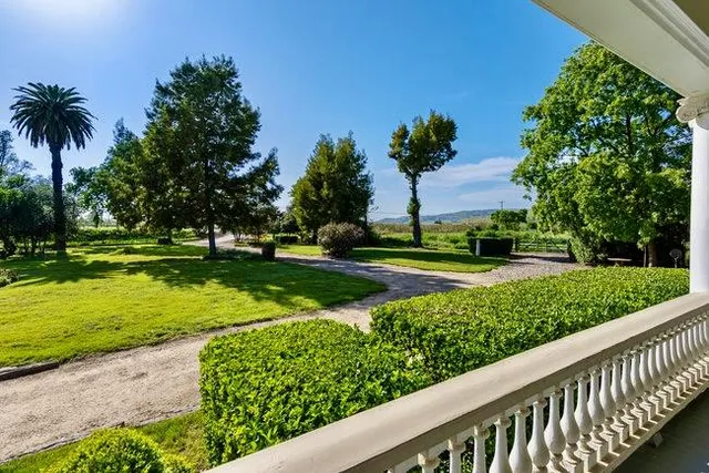 a view of a garden with palm trees