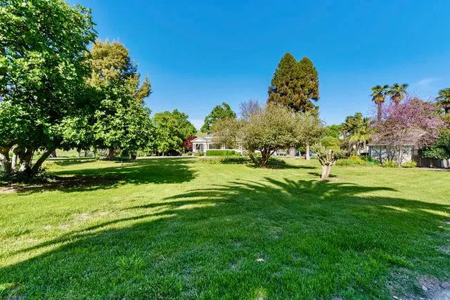 a view of a yard with plants and trees