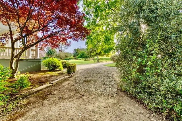 a view of a swimming pool with a garden