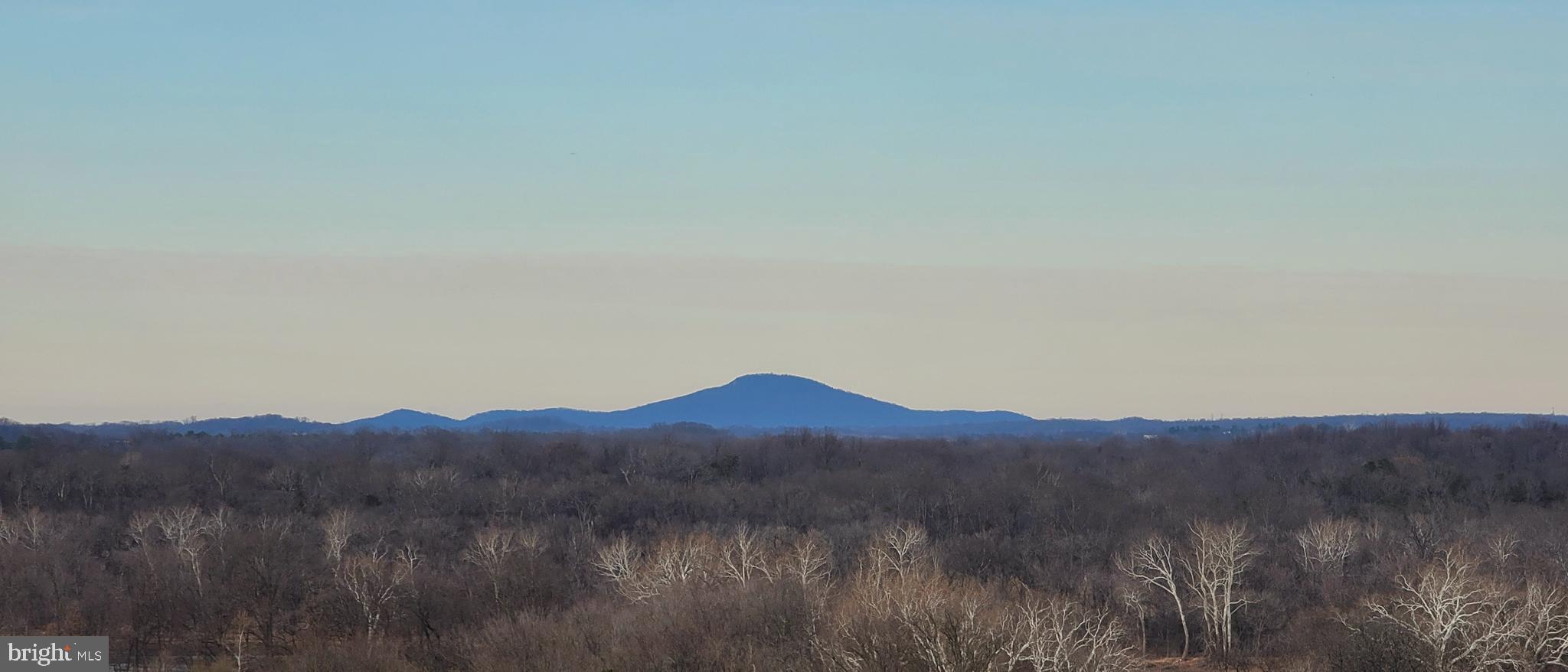 19385 Cypress Ridge Terrace, Unit 815 Leesburg, VA 20176 - Photo 29 of 35 a view of a dry back yard