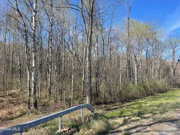$65,000 | Lot 26 Highway Route 20, Sharon Springs, NY 13459
