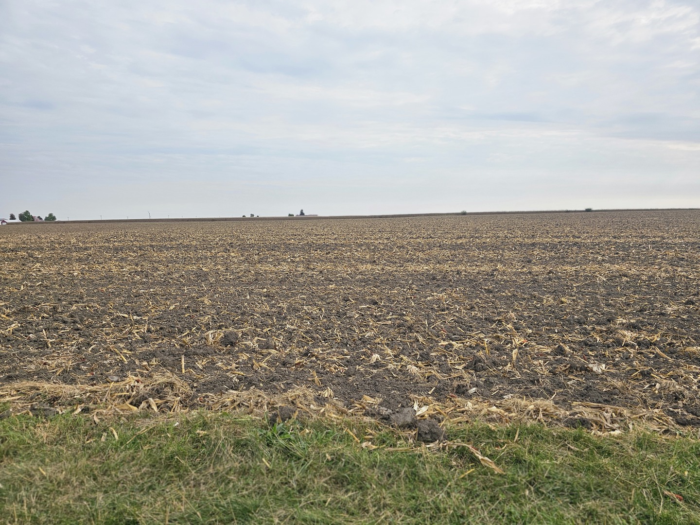 174 Rockyford Road Sublette, IL 61367 - Photo 12 of 20