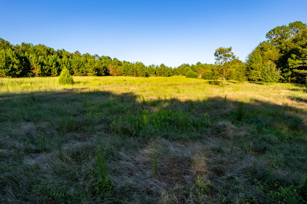 2226 Randall Wade Road Headland, AL 36345 - Photo 39 of 60