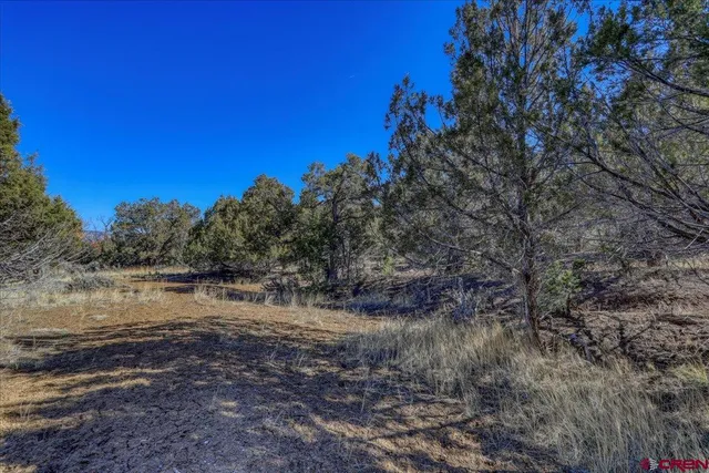 a view of a lake with a tree in the background