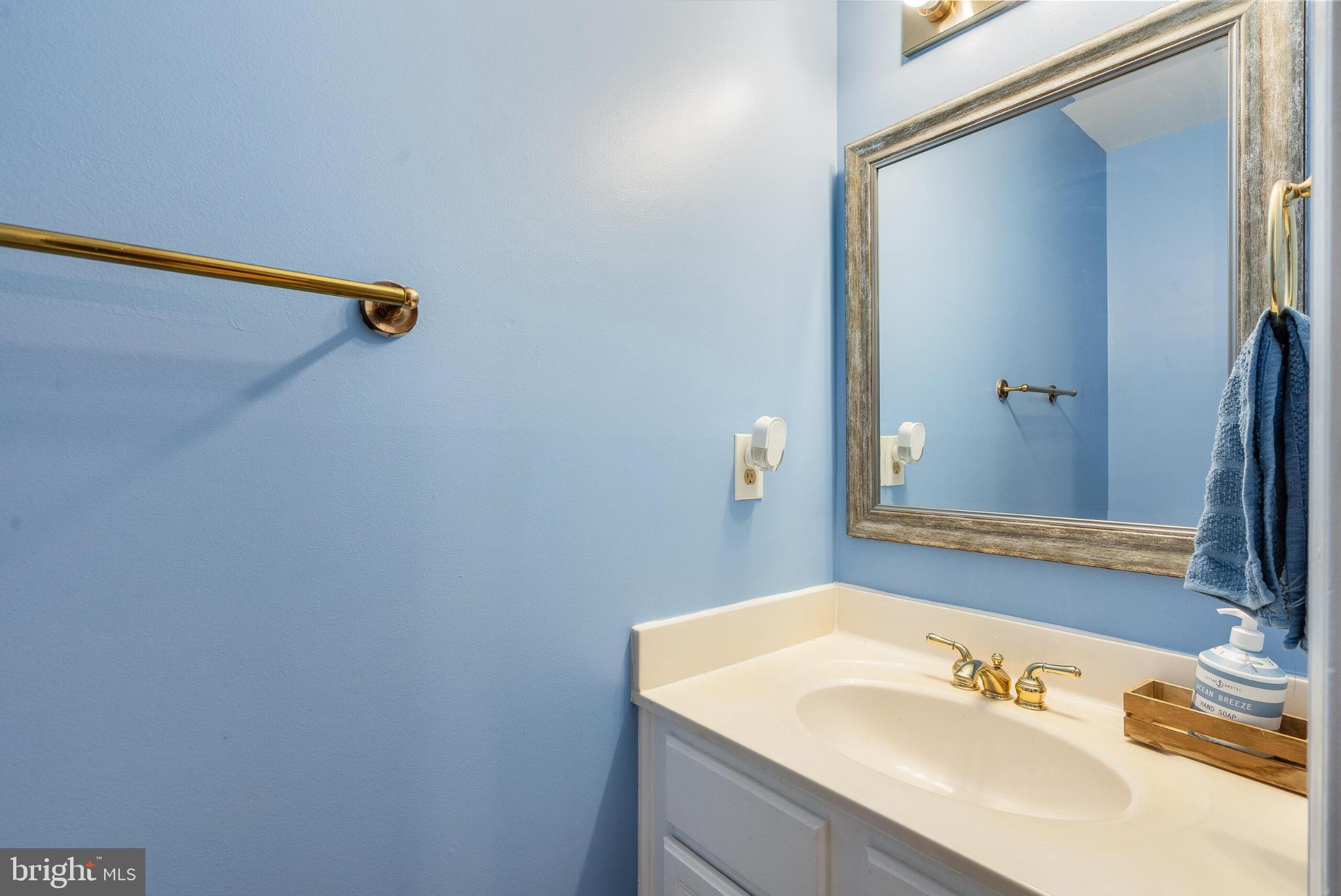 14087 Asher View Centreville, VA 20121 - Photo 10 of 26 Bright and airy bathroom with serene blue hues.