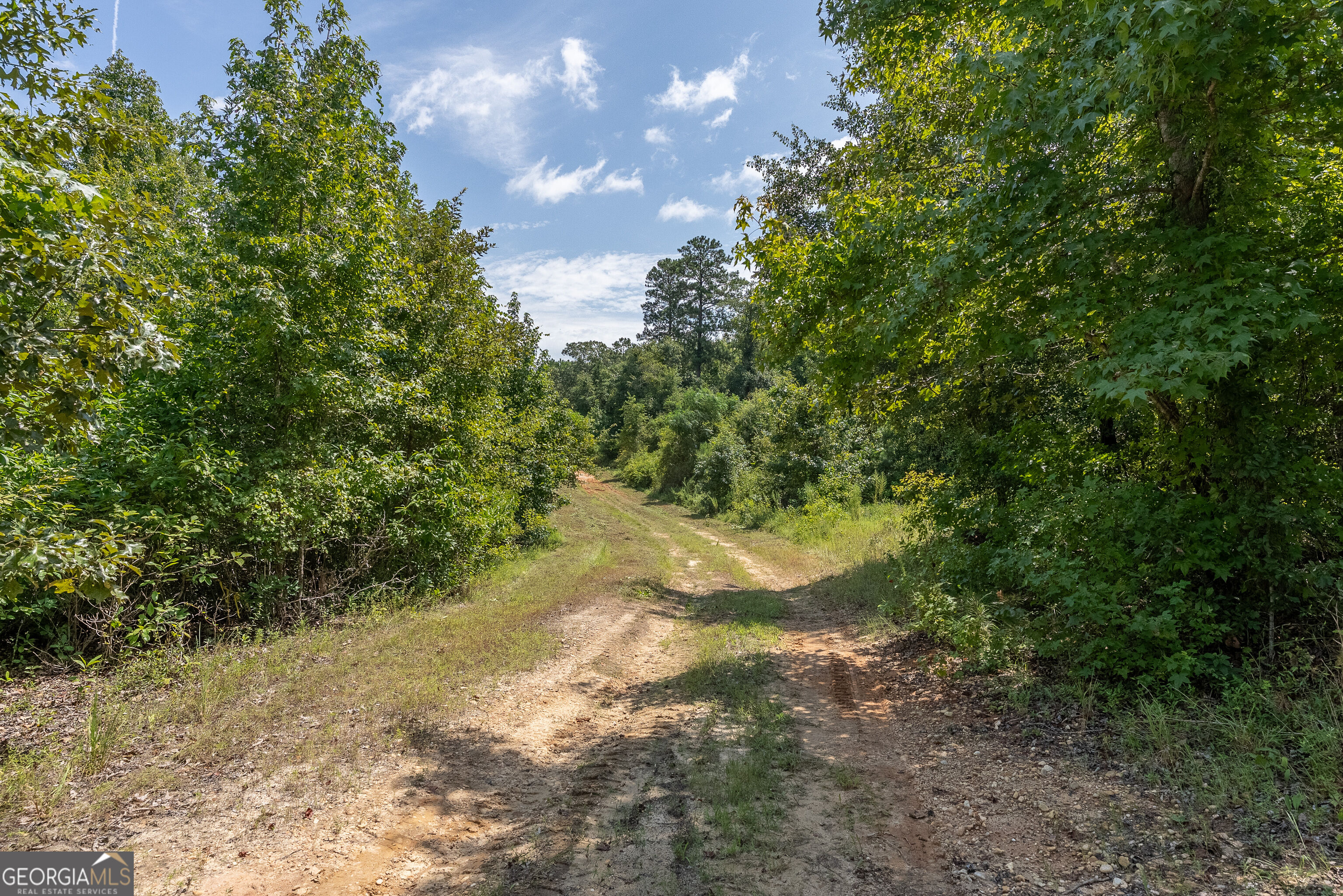 0 Nicholson-carr Road Chester, GA 31012 - Photo 34 of 54 Gallery Image 34