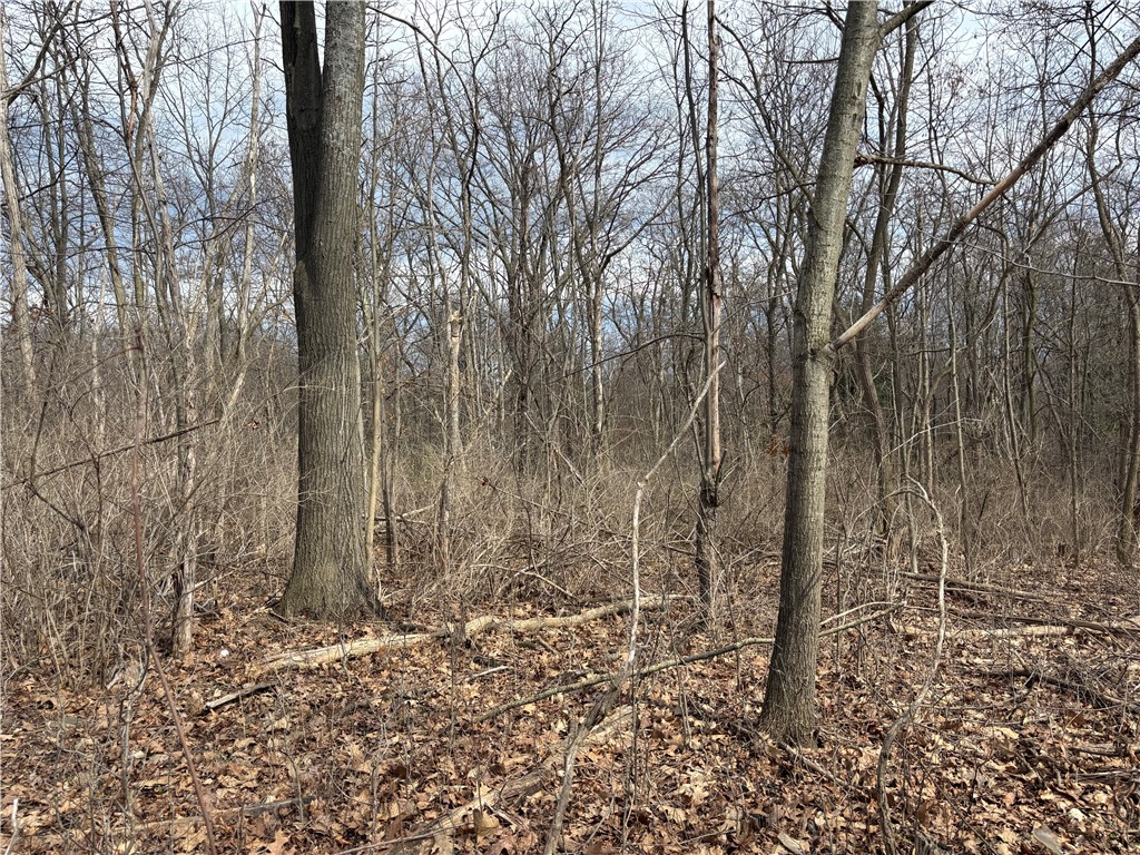 76 County Route Hammondsport, NY 14840 - Photo 4 of 5