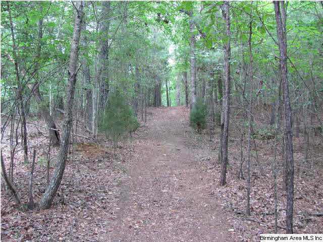 100 Cahaba Oaks Trail Pelham, AL 35124 - Photo 21 of 24