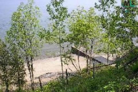 2245 South Lakeshore Road Applegate, MI 48401 - Photo 6 of 7 794678-5.JPG