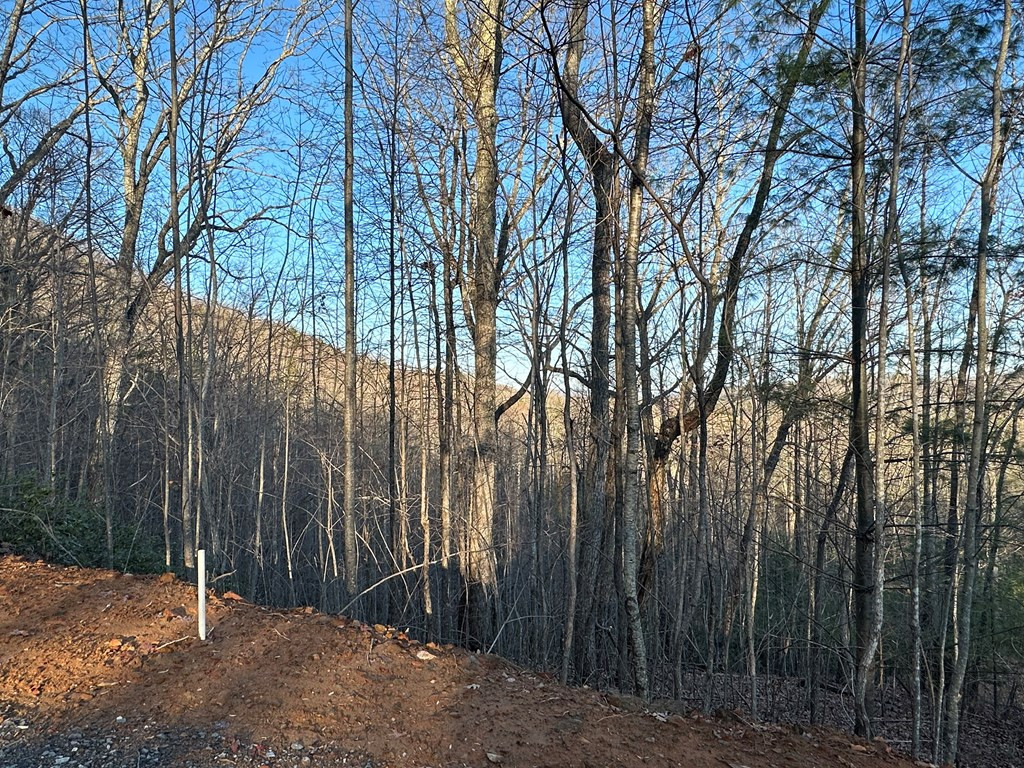 Lot 11 Elisi Vly Road Murphy, NC 28906 - Photo 7 of 9