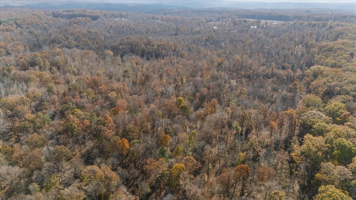 120 Fiser Road Waverly, TN 37185 - Photo 14 of 46 a view of a dry yard