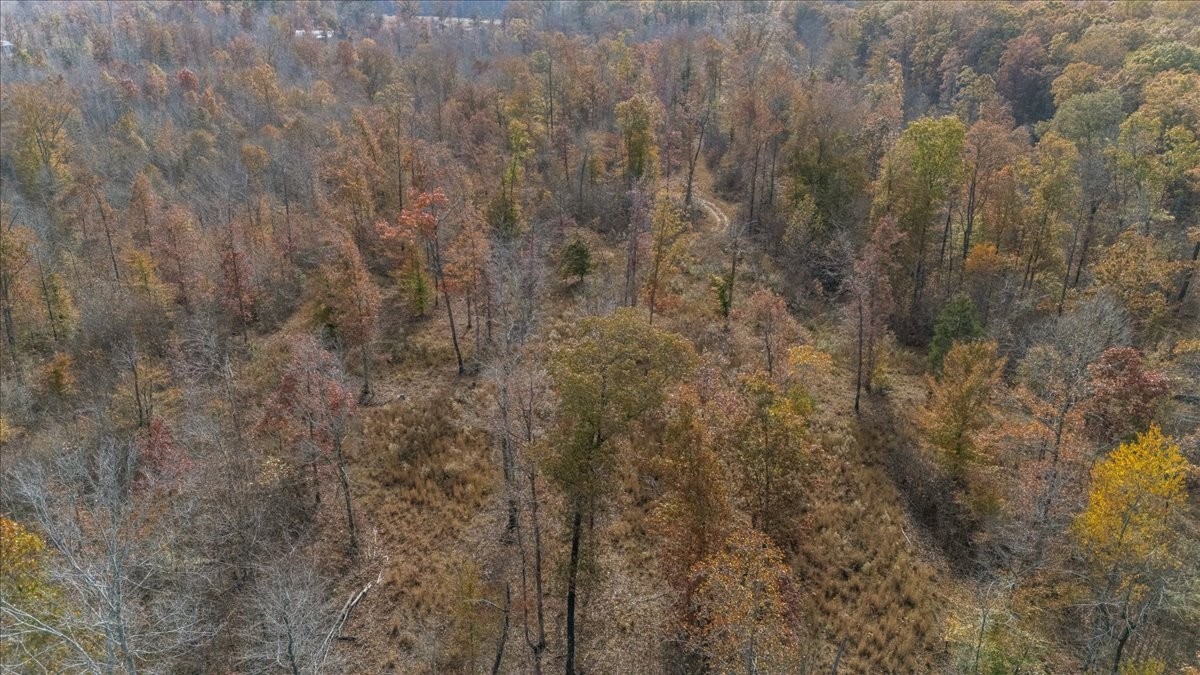 120 Fiser Road Waverly, TN 37185 - Photo 2 of 46 a view of a covered with wooden fence