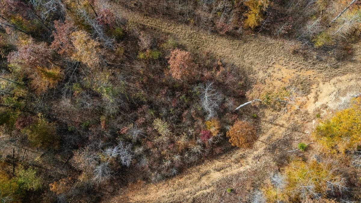 120 Fiser Road Waverly, TN 37185 - Photo 22 of 46 a view of a covered with fog