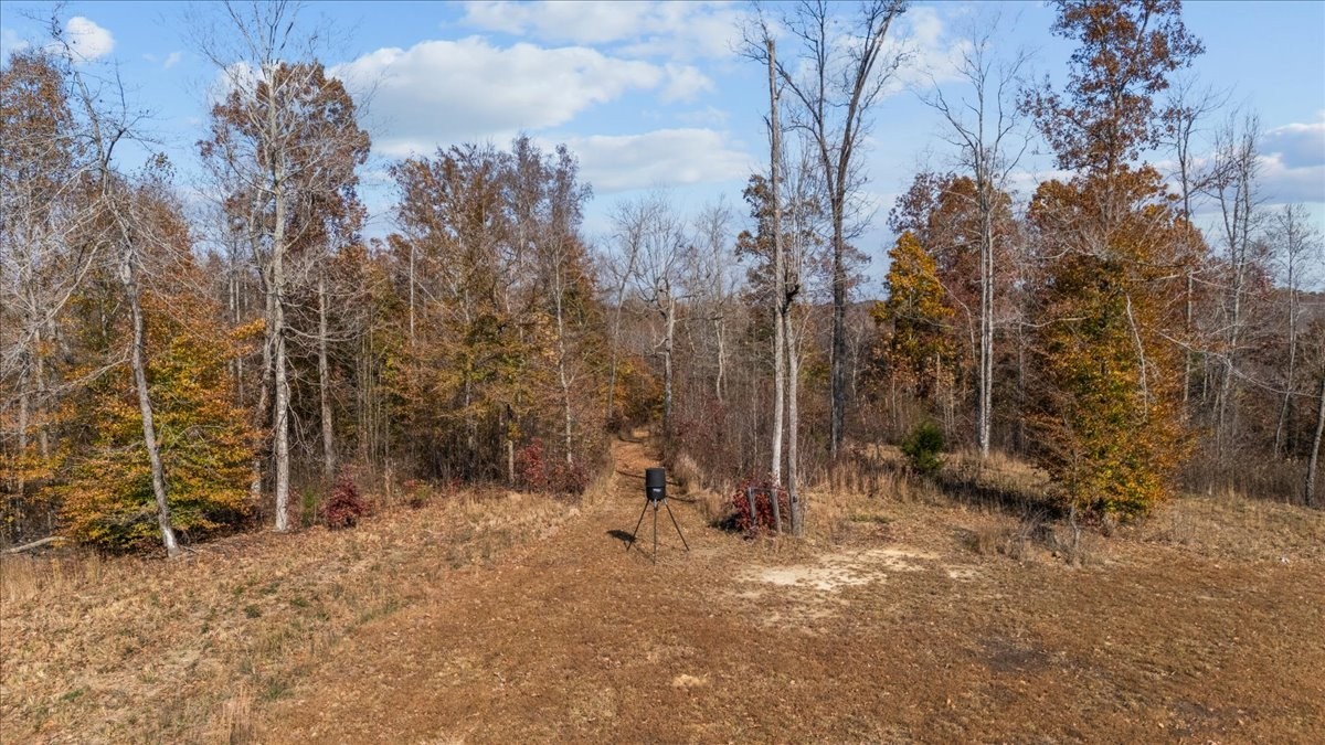 120 Fiser Road Waverly, TN 37185 - Photo 24 of 46