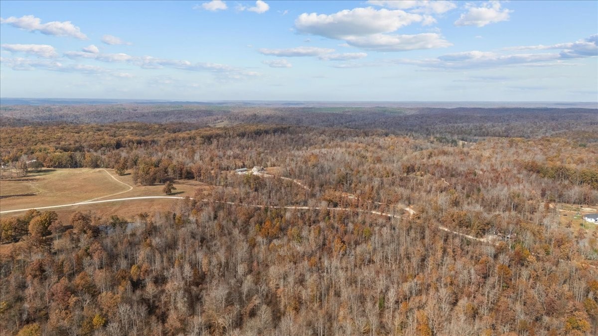 120 Fiser Road Waverly, TN 37185 - Photo 3 of 46 a view of a dry yard with wooden fence
