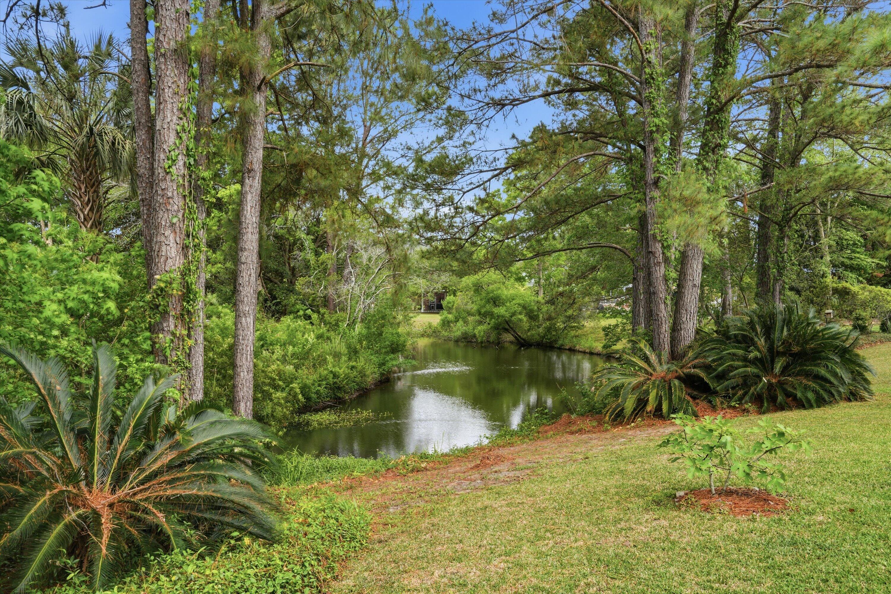 2779 Waterpointe Circle Mount Pleasant, SC 29466 - Photo 28 of 45 46-DSC04547