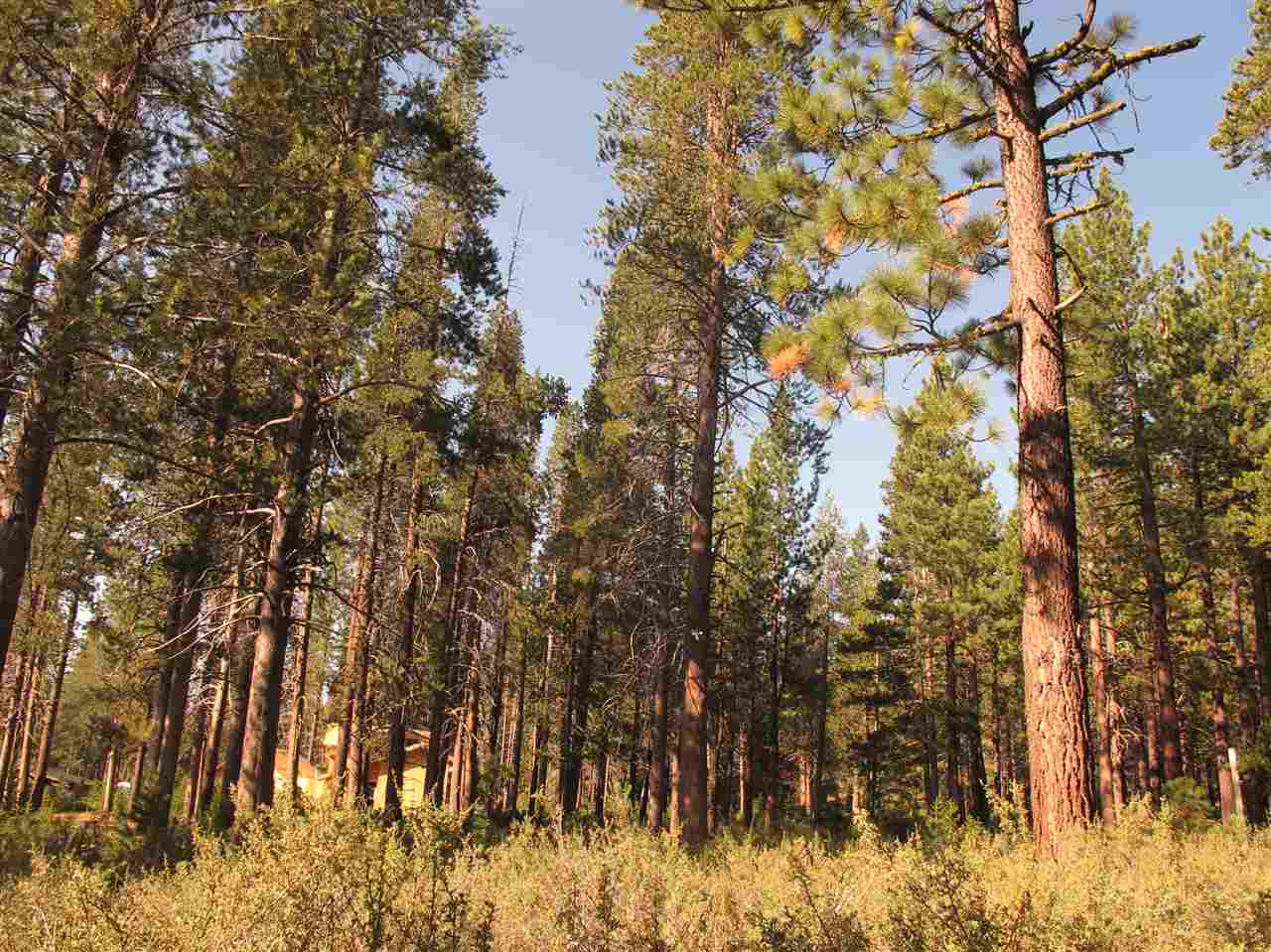 11600 Ghirard Road Truckee, CA 96161 - Photo 3 of 11 Gallery Image 3
