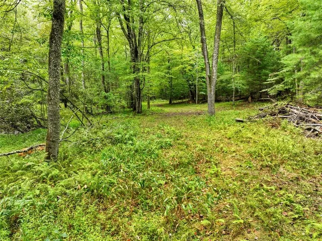 a view of yard with green space