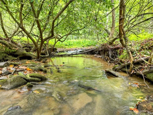 a view of a garden with plants