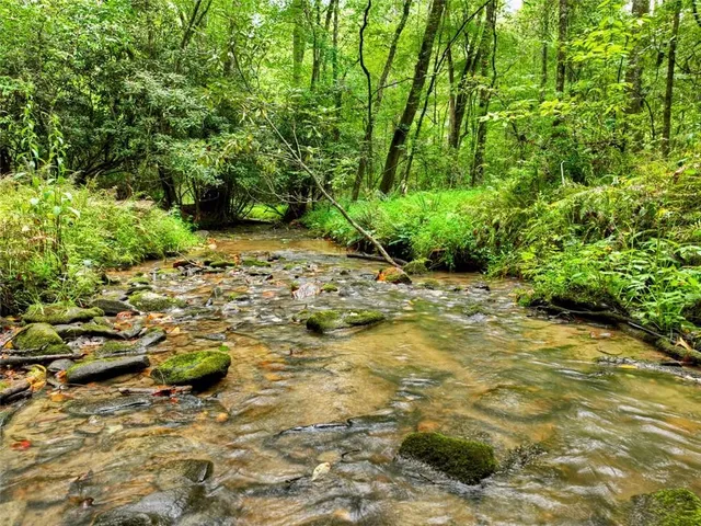 a picture of street view