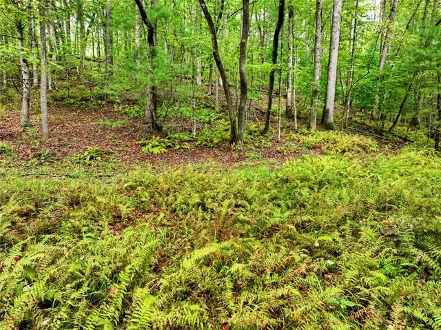 a view of outdoor space and green space