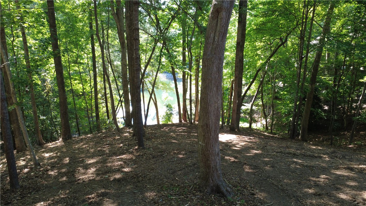 601 Wind Flower Drive Sunset, SC 29685 - Photo 8 of 11 Nestled beneath a canopy of mature hardwoods, this homesite offers a tranquil setting where filtered lake views and natural beauty define the landscape.