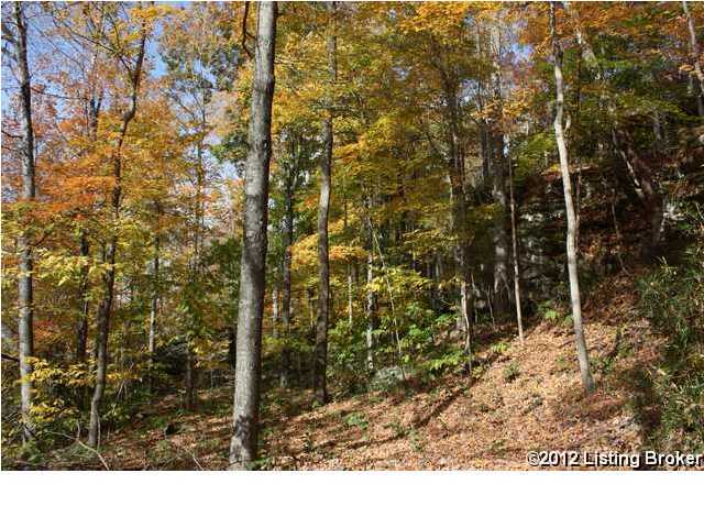 1504 Country Paradise Road Leitchfield, KY 42754 - Photo 14 of 24 Additional Photo